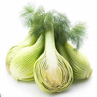 Fresh Fennel Bulb 1 pc