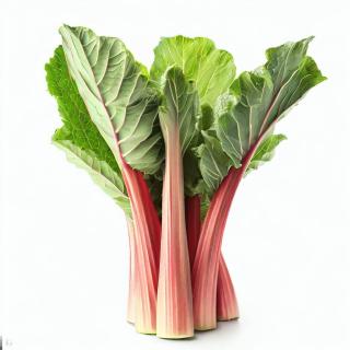 Fresh Rhubarb 1 kg
