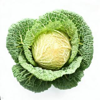 Varza creată Savoy cap mic 1 kg