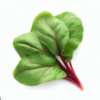 Măcriș verde 100g