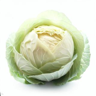 Varză albă de toamnă Amager 2-3 kg