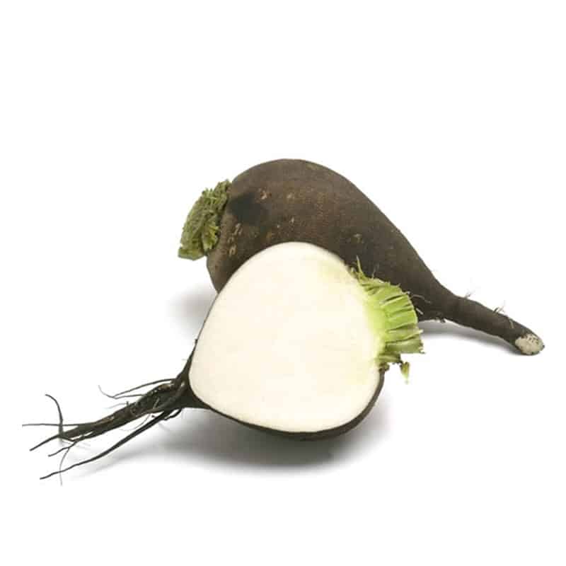 Ridiche Neagră